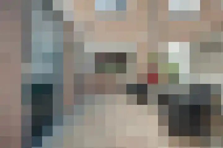 Hoefblad 99 Zwaag thumbnail 31