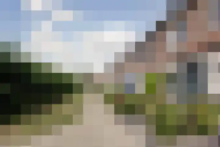 Hoefblad 99 Zwaag thumbnail 4