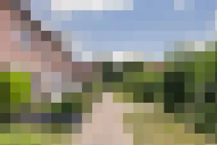 Hoefblad 99 Zwaag thumbnail 5