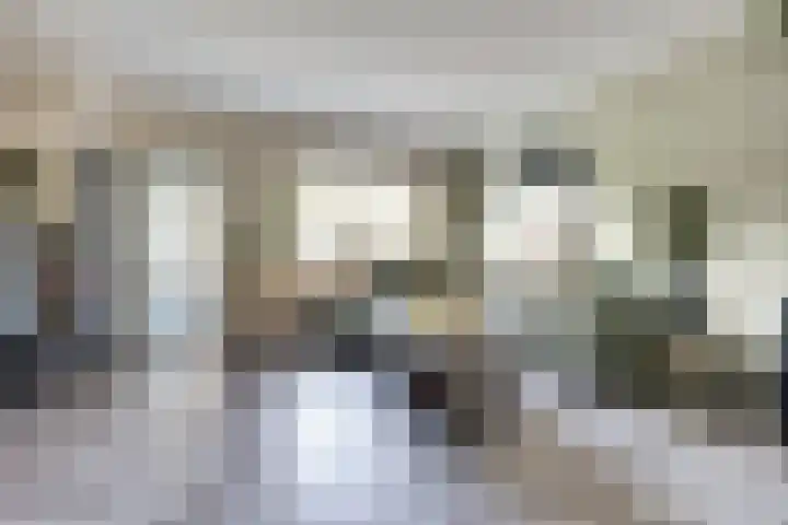 Hoefblad 99 Zwaag thumbnail 8