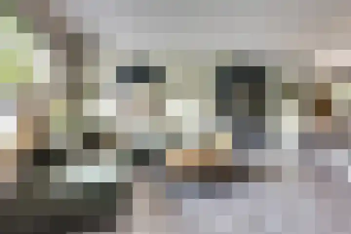 Hoefblad 99 Zwaag thumbnail 9