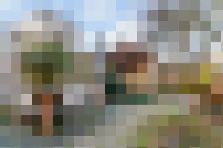 Hoefbladhof 21 Voorhout thumbnail 31