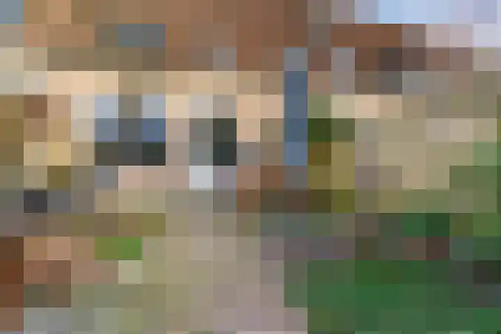 Hoefbladhof 21 Voorhout thumbnail 33