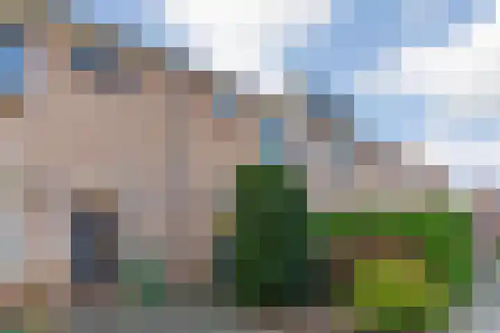 Hoefbladhof 21 Voorhout thumbnail 40