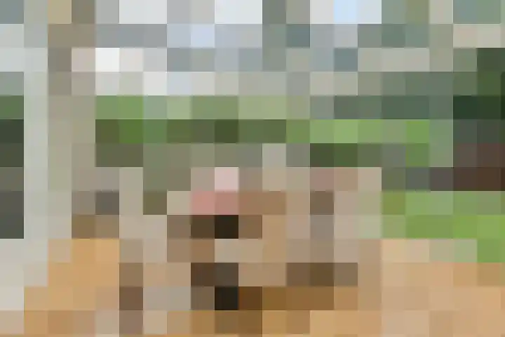 Hoefbladhof 35 Voorhout thumbnail 10