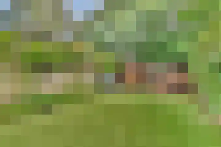 Hoefbladhof 35 Voorhout thumbnail 12