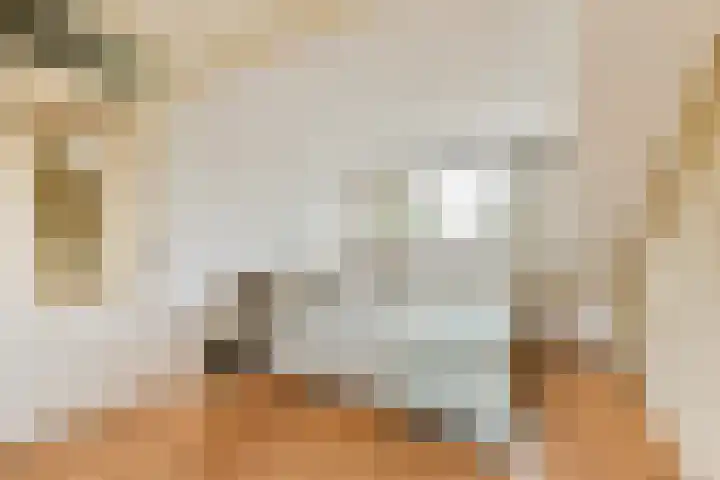 Hoefbladhof 35 Voorhout thumbnail 25