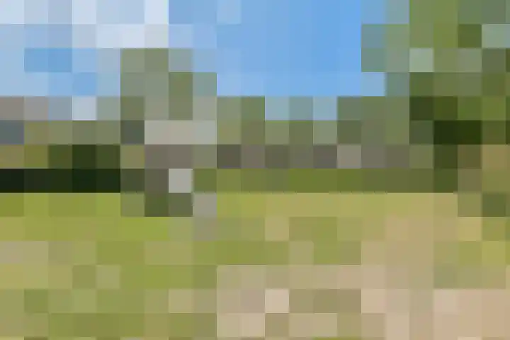 Hoefbladhof 35 Voorhout thumbnail 30