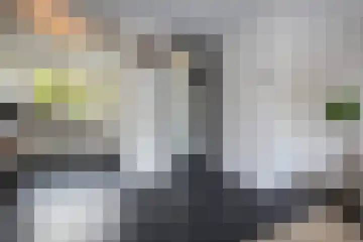Hoefbladhof 4 Voorhout thumbnail 13