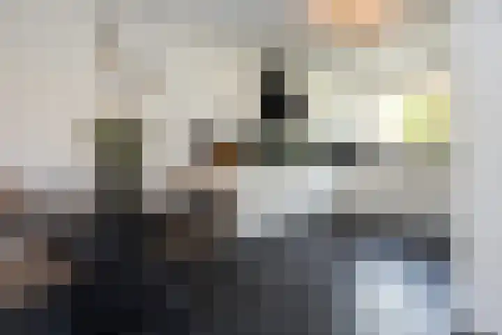 Hoefbladhof 4 Voorhout thumbnail 18