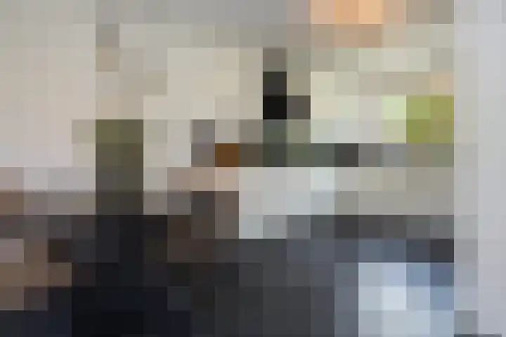 Hoefbladhof 4 Voorhout thumbnail 20