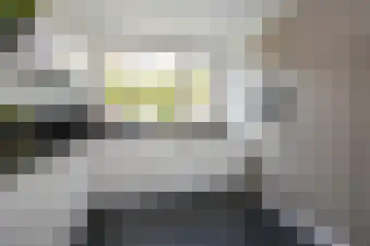 Hoefbladhof 4 Voorhout thumbnail 22