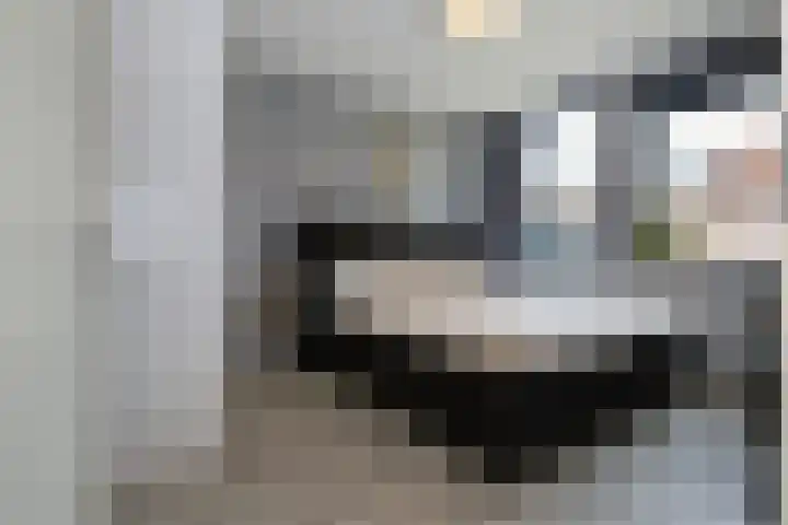 Hoefbladhof 4 Voorhout thumbnail 23