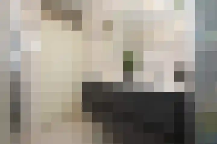 Hoefbladhof 4 Voorhout thumbnail 27