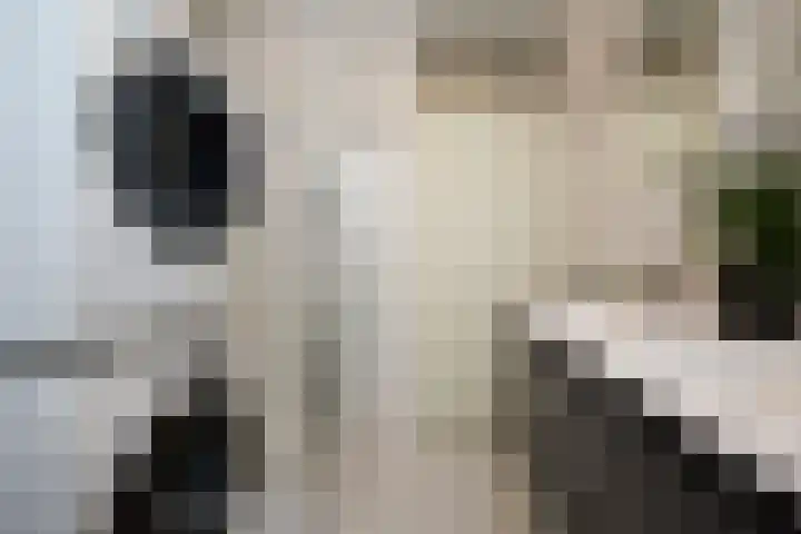 Hoefbladhof 4 Voorhout thumbnail 28