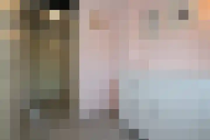 Hoefbladhof 4 Voorhout thumbnail 32