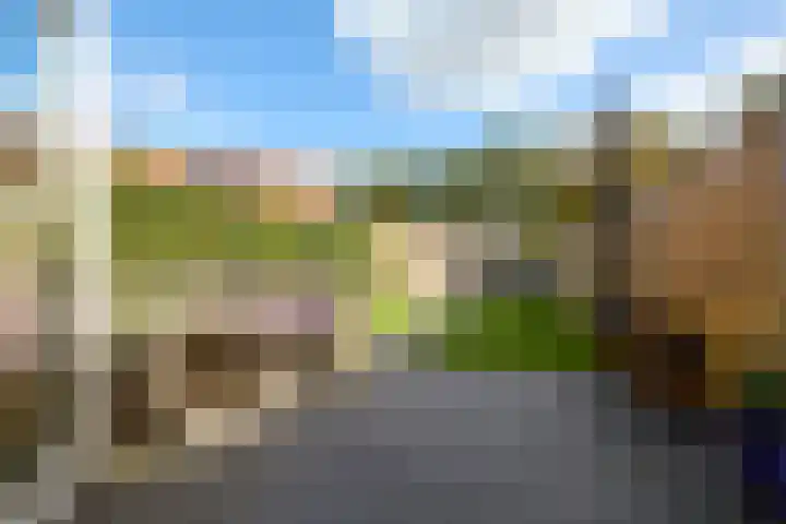 Hoefbladhof 4 Voorhout thumbnail 4