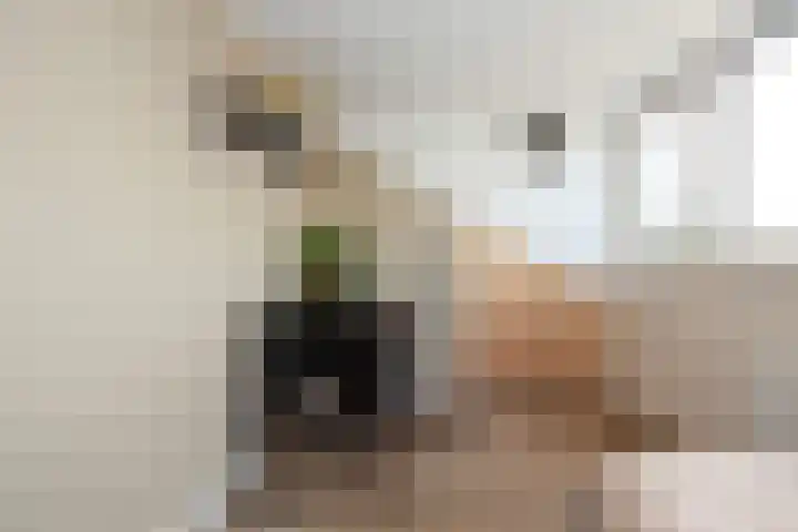 Hoefbladhof 4 Voorhout thumbnail 41