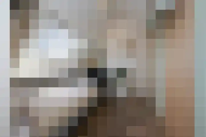 Hoefbladhof 4 Voorhout thumbnail 42