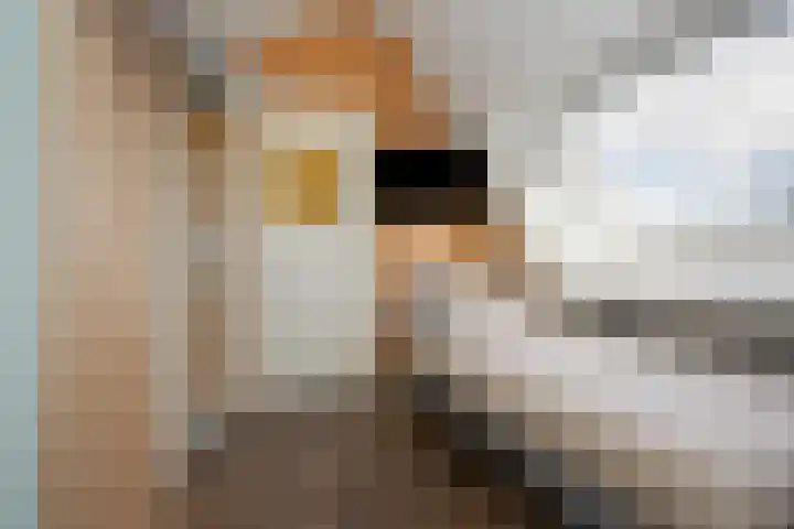 Hoefbladhof 4 Voorhout thumbnail 43