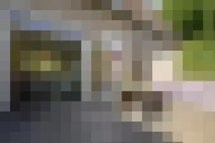 Hoefbladhof 4 Voorhout thumbnail 45