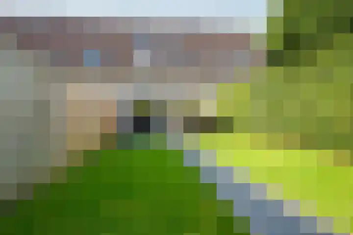 Hoefbladhof 4 Voorhout thumbnail 47