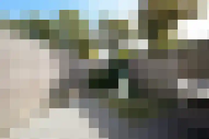 Hoefbladhof 4 Voorhout thumbnail 52
