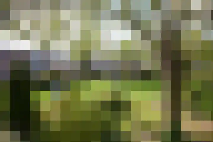 Hoefbladhof 4 Voorhout thumbnail 54