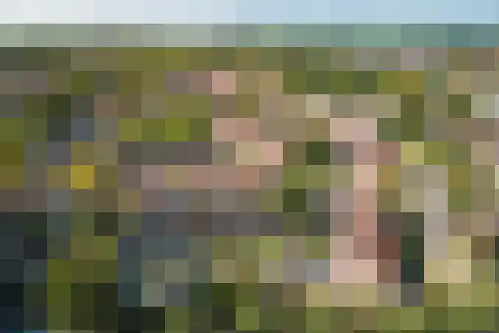 Hoefbladhof 4 Voorhout thumbnail 56