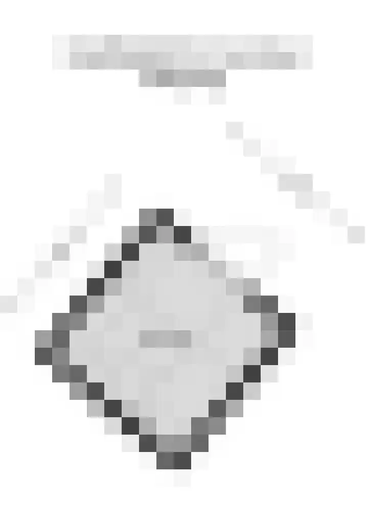 Hoefbladhof 4 Voorhout thumbnail 61