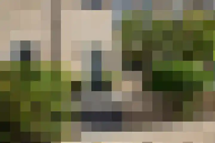 Hoefbladhof 4 Voorhout thumbnail 7