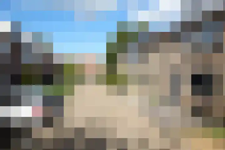 Hoefbladhof 4 Voorhout thumbnail 8