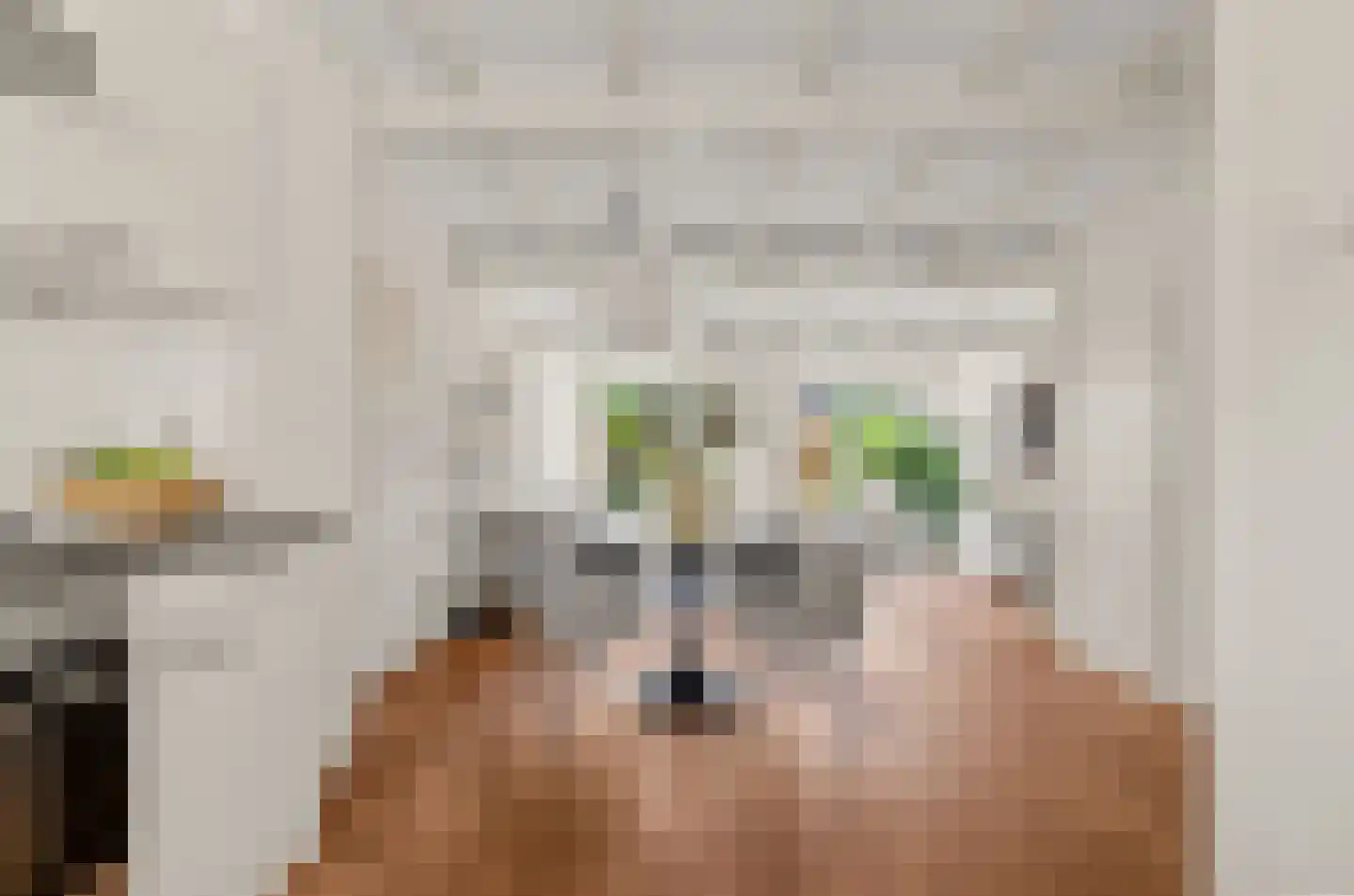Hoefbladhof 42 Houten thumbnail 17