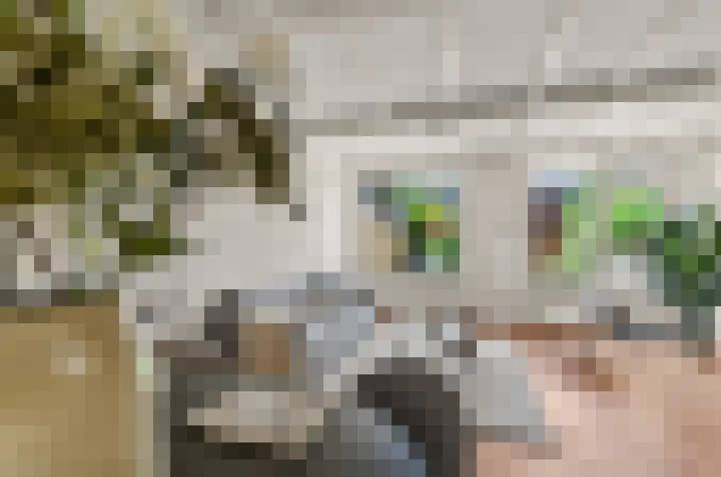 Hoefbladhof 42 Houten thumbnail 18