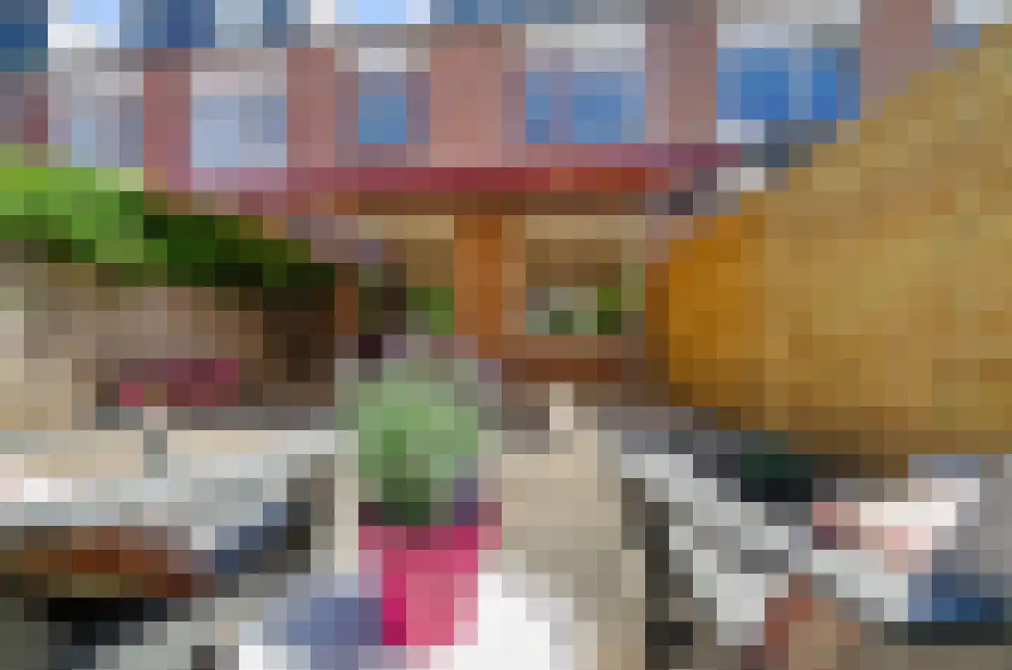 Hoefbladhof 42 Houten thumbnail 24