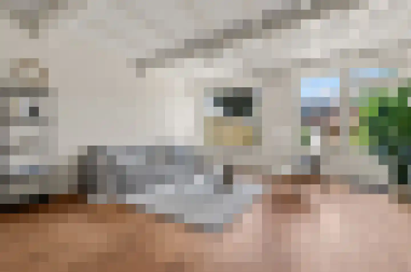 Hoefbladhof 42 Houten thumbnail 4