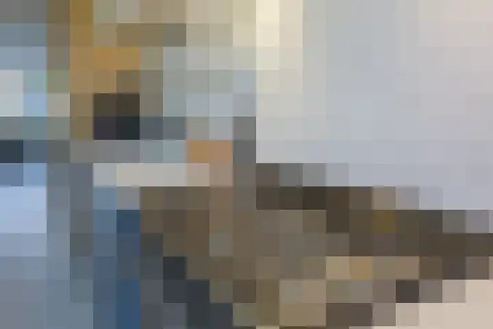 Hoefbladhof 60 Houten thumbnail 21