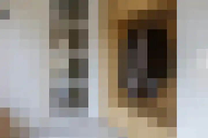 Hoefbladhof 60 Houten thumbnail 4