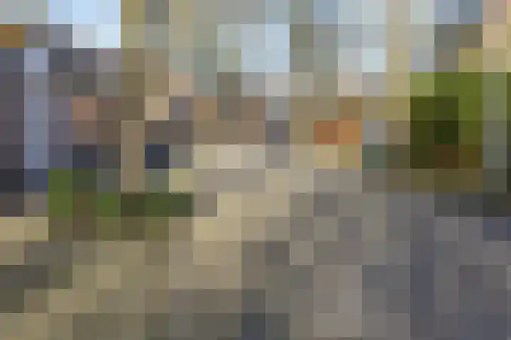 Hoefbladhof 60 Houten thumbnail 50