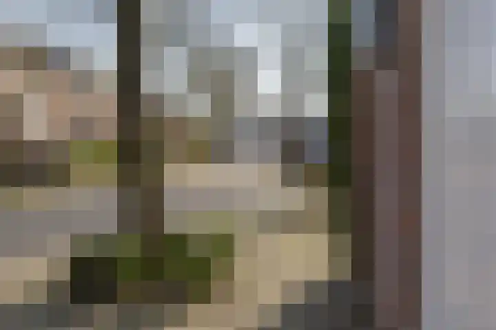 Hoefbladhof 60 Houten thumbnail 61
