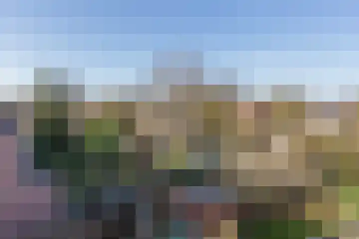 Hoefbladhof 60 Houten thumbnail 62
