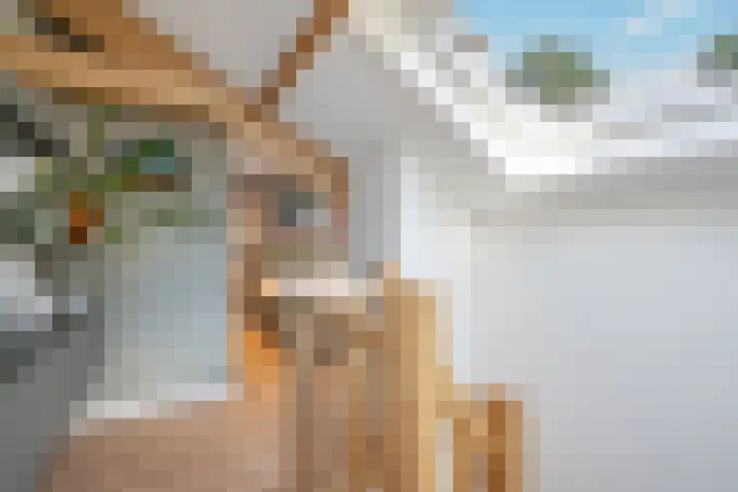 Hoefbladlaan 115 Den Haag thumbnail 28