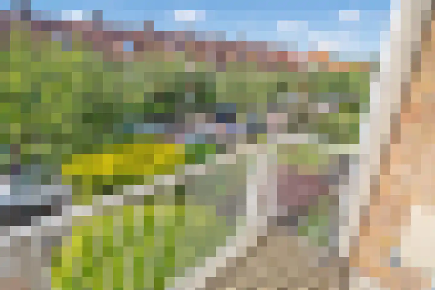 Hoefbladlaan 115 Den Haag thumbnail 5