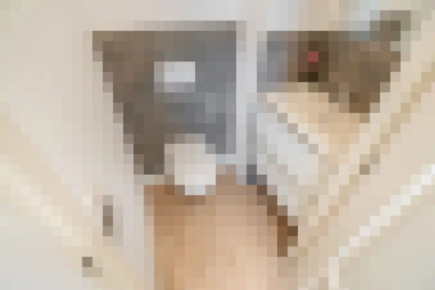 Hoefbladlaan 115 Den Haag thumbnail 9