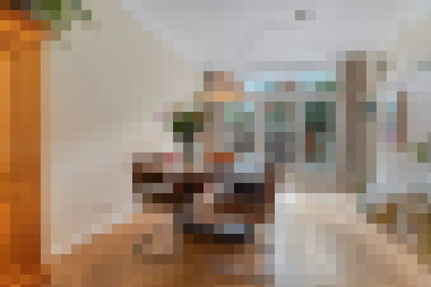 Hoefbladlaan 134 Den Haag thumbnail 18