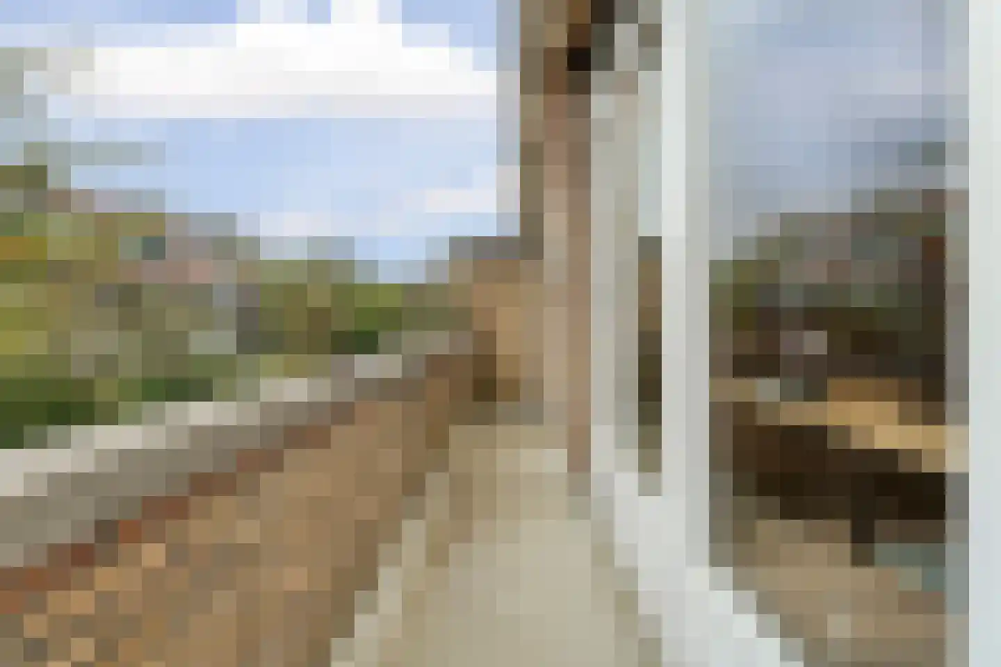 Hoefbladlaan 134 Den Haag thumbnail 37