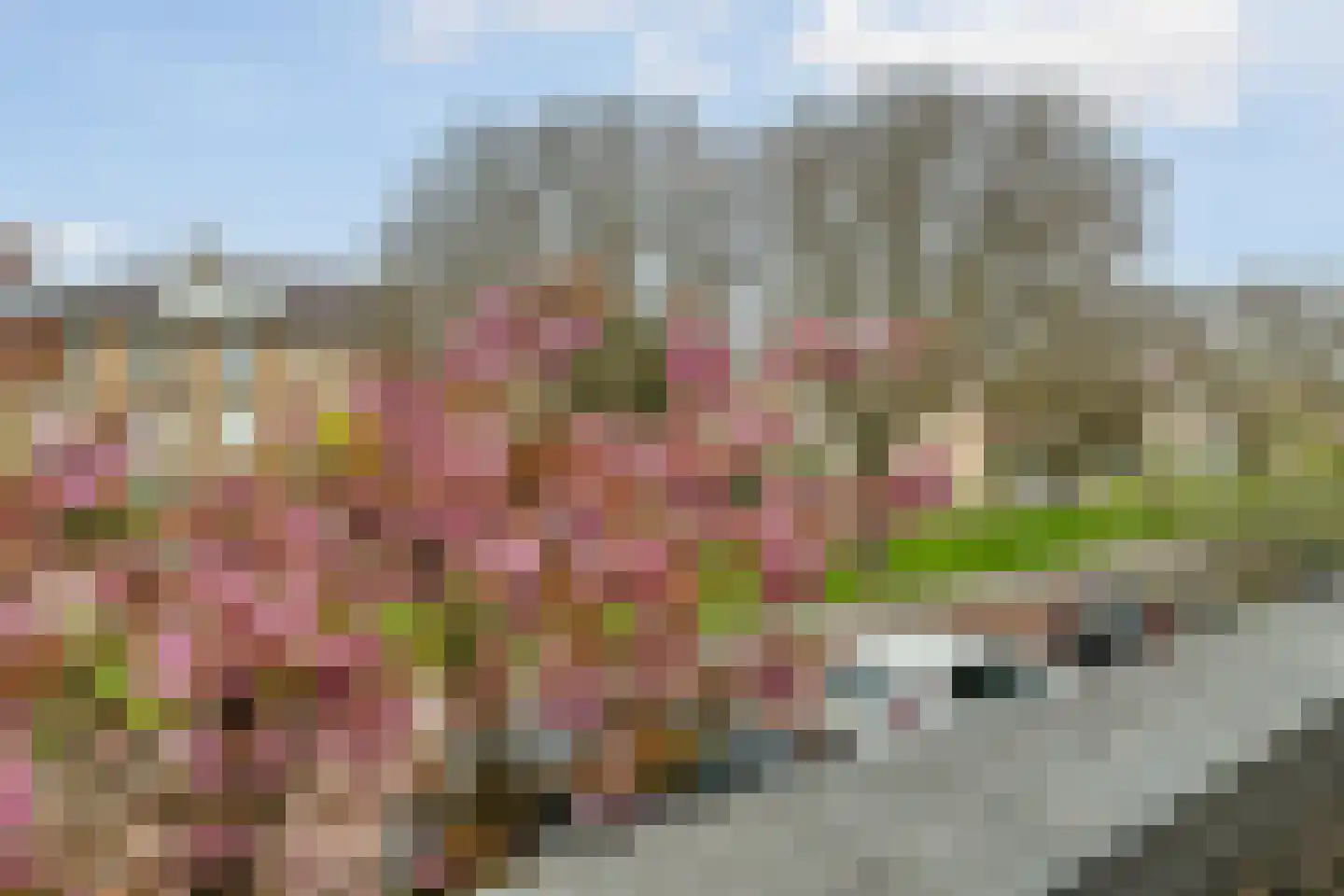 Hoefbladlaan 134 Den Haag thumbnail 46