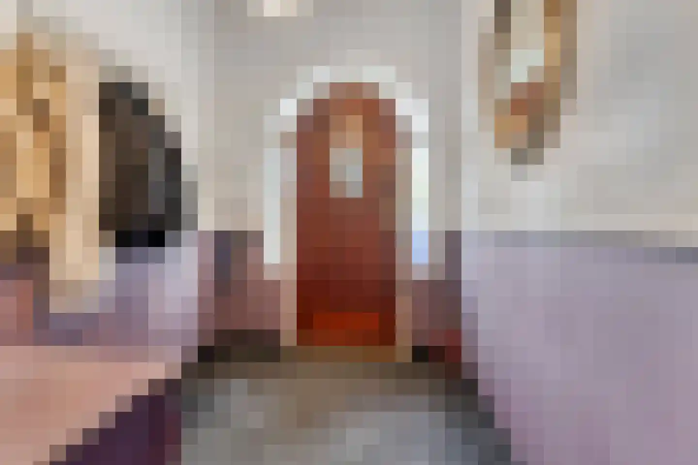 Hoefbladlaan 134 Den Haag thumbnail 66