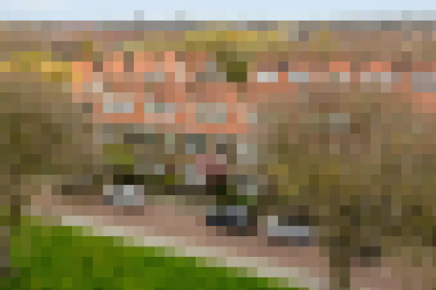 Hoefbladlaan 134 Den Haag thumbnail 68