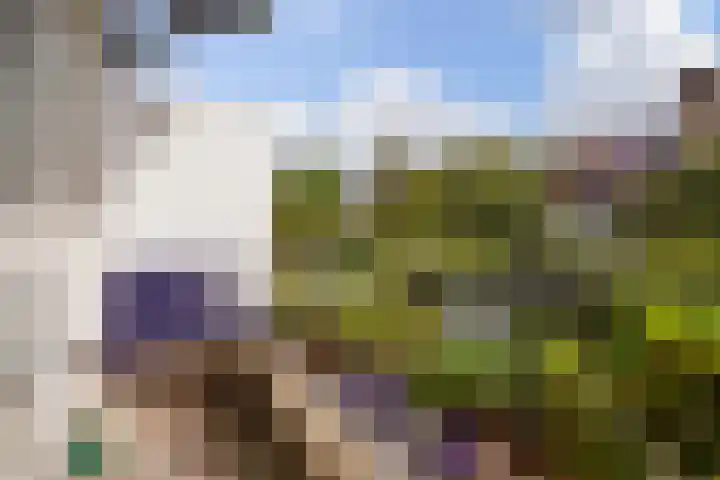 Hoefbladlaan 29 Den Haag thumbnail 10